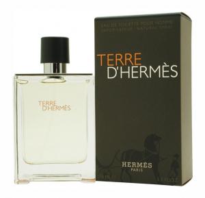 Terre D Hermes 100ml Perfume for Men